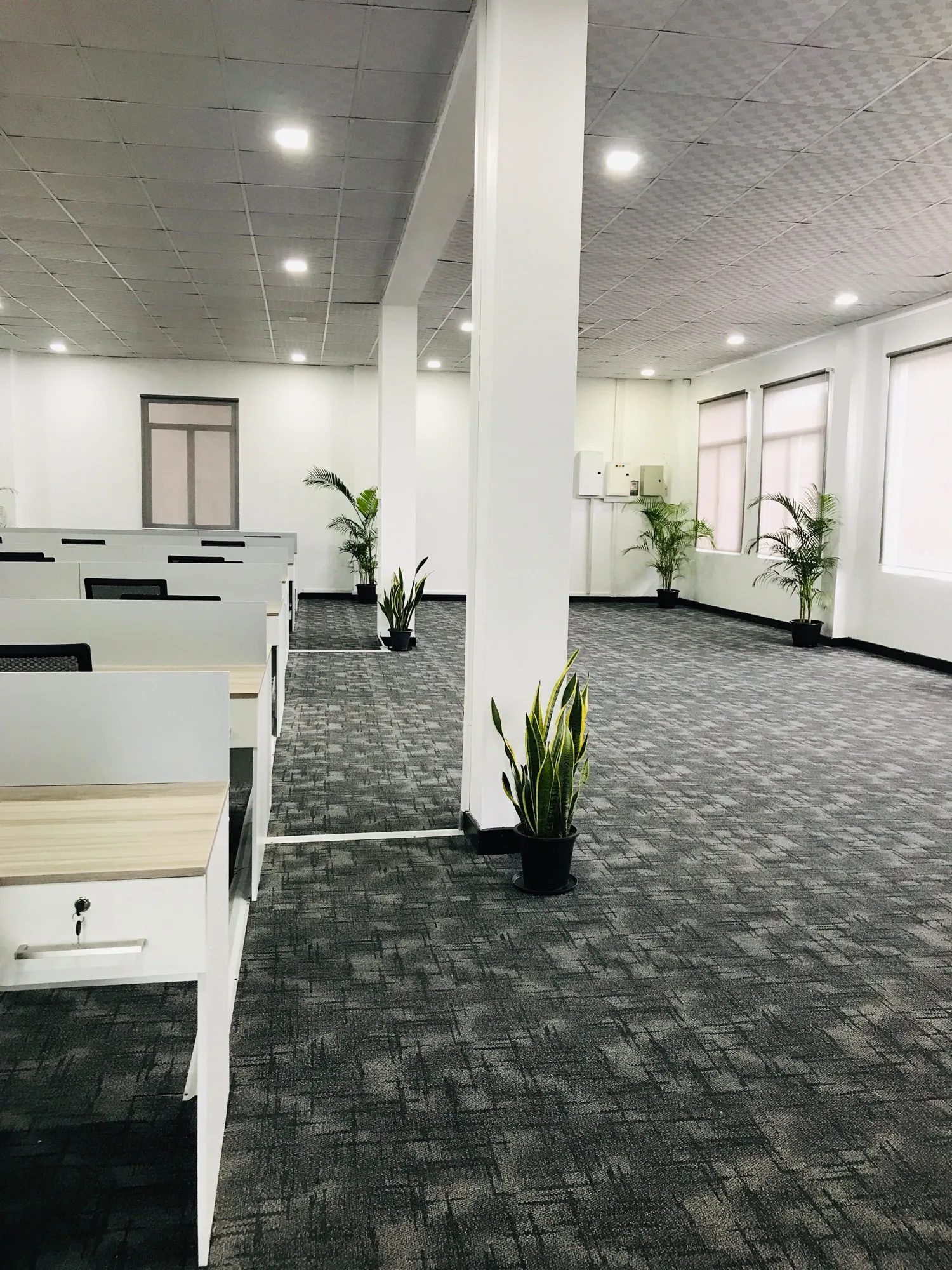 Open-plan workspace at the Infomate Kurunegala office